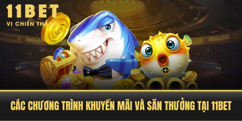 Các chương trình khuyến mãi và săn thưởng tại 11BET