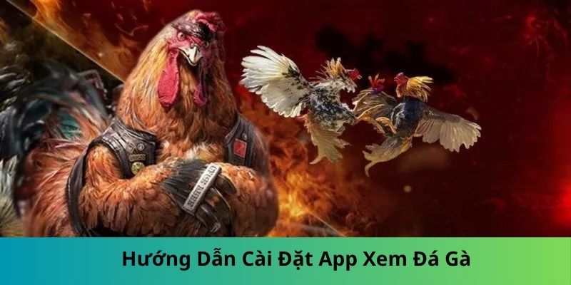 Hướng Dẫn Cài Đặt App Xem Đá Gà