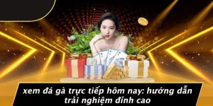 xem đá gà trực tiếp hôm nay